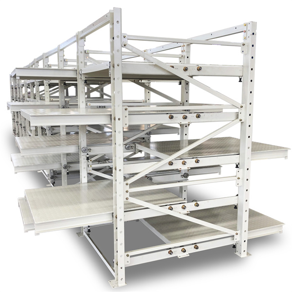 Double Sided Roll Out Mold Rack