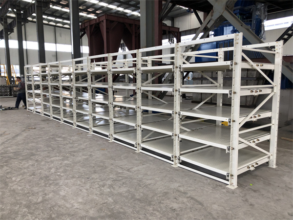 Double Sided Roll Out Mold Rack