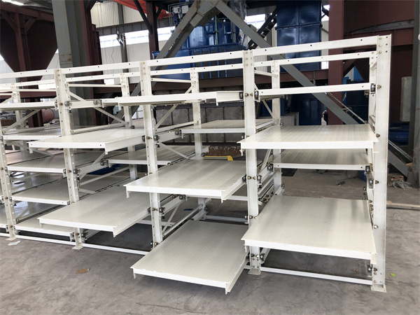 Double Sided Roll Out Mold Rack